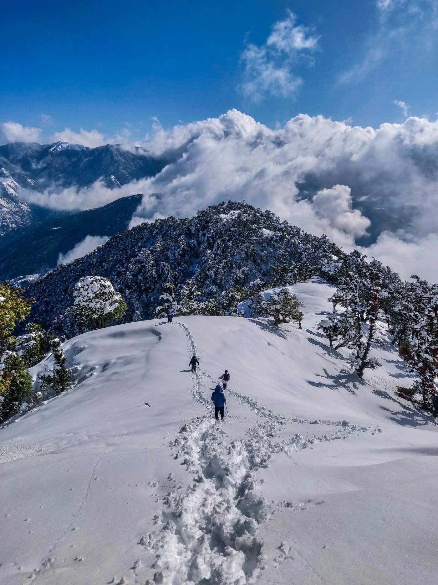 Amritsar to Manali Tour